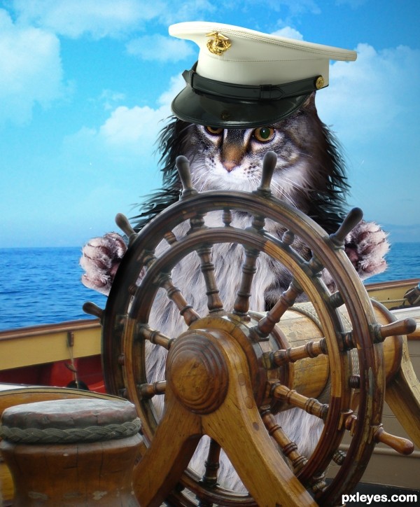 Captain Kitteh